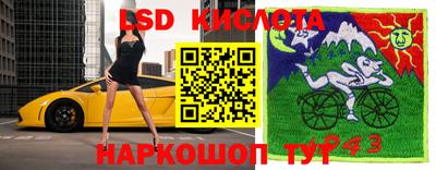 шишки Балаково