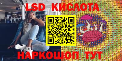 гашик Бердск