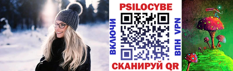 Псилоцибиновые грибы Psilocybe  Купить  Тында 